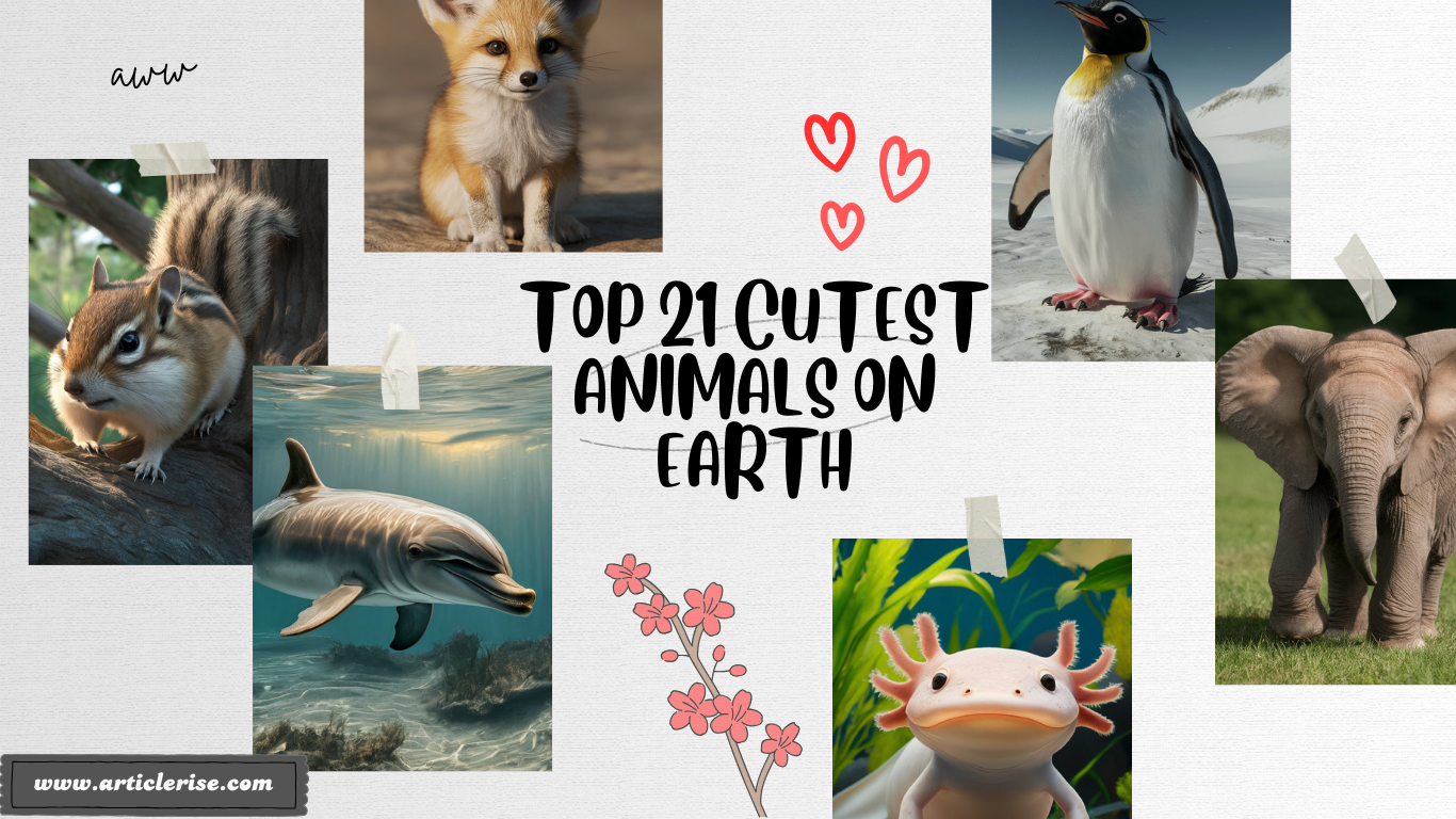 Top 21 Cutest Animals on Earth